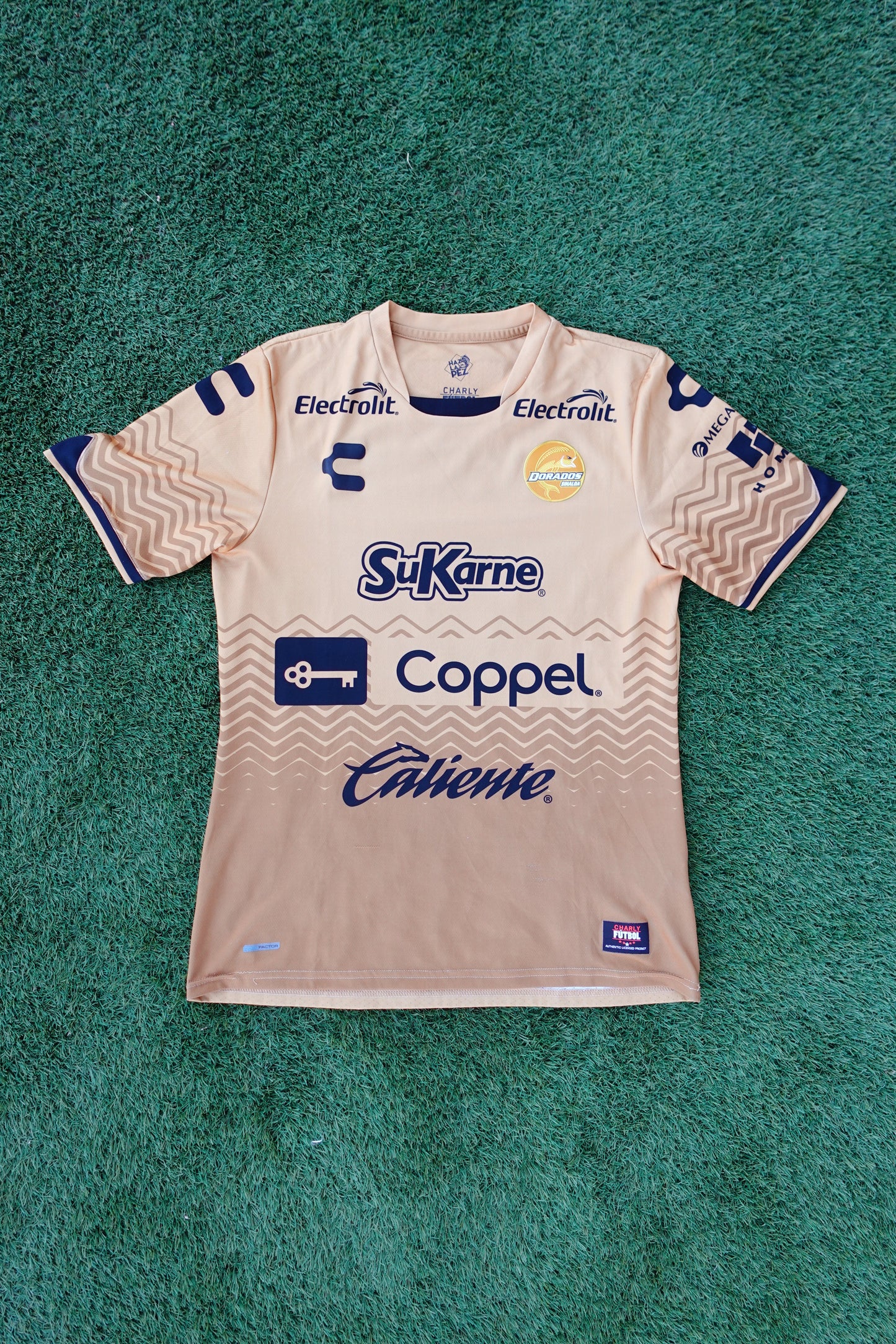 Dorados 2016-2017 Local