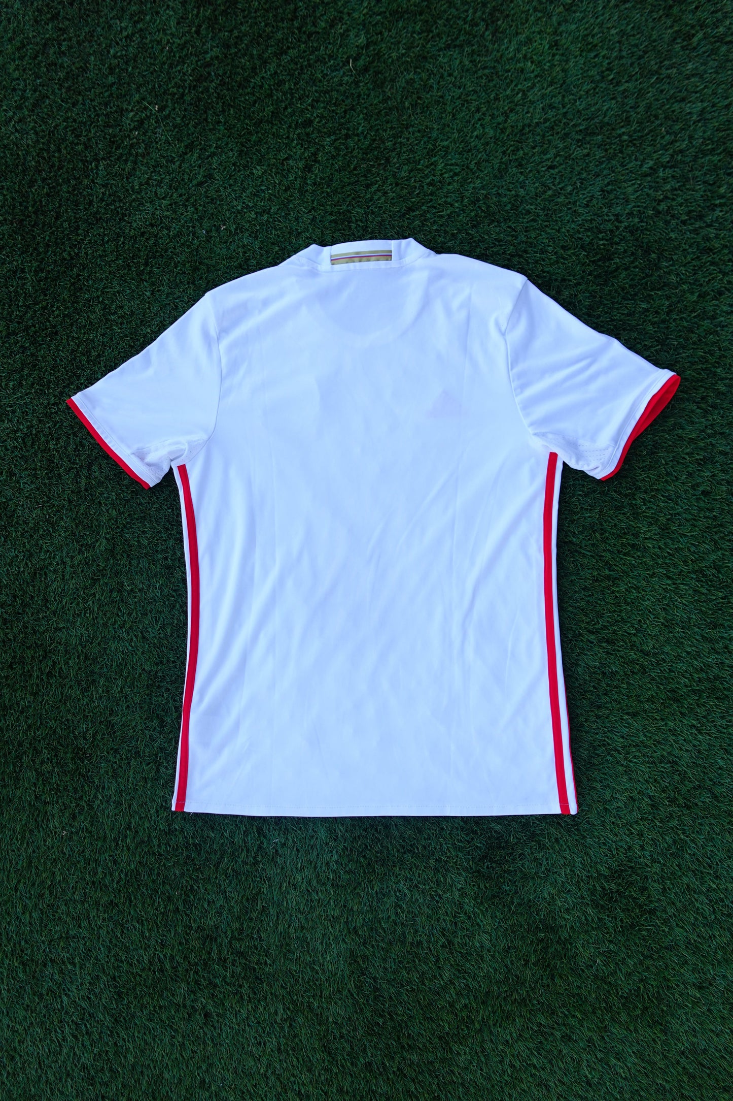 Rusia 2016-2017 Visita