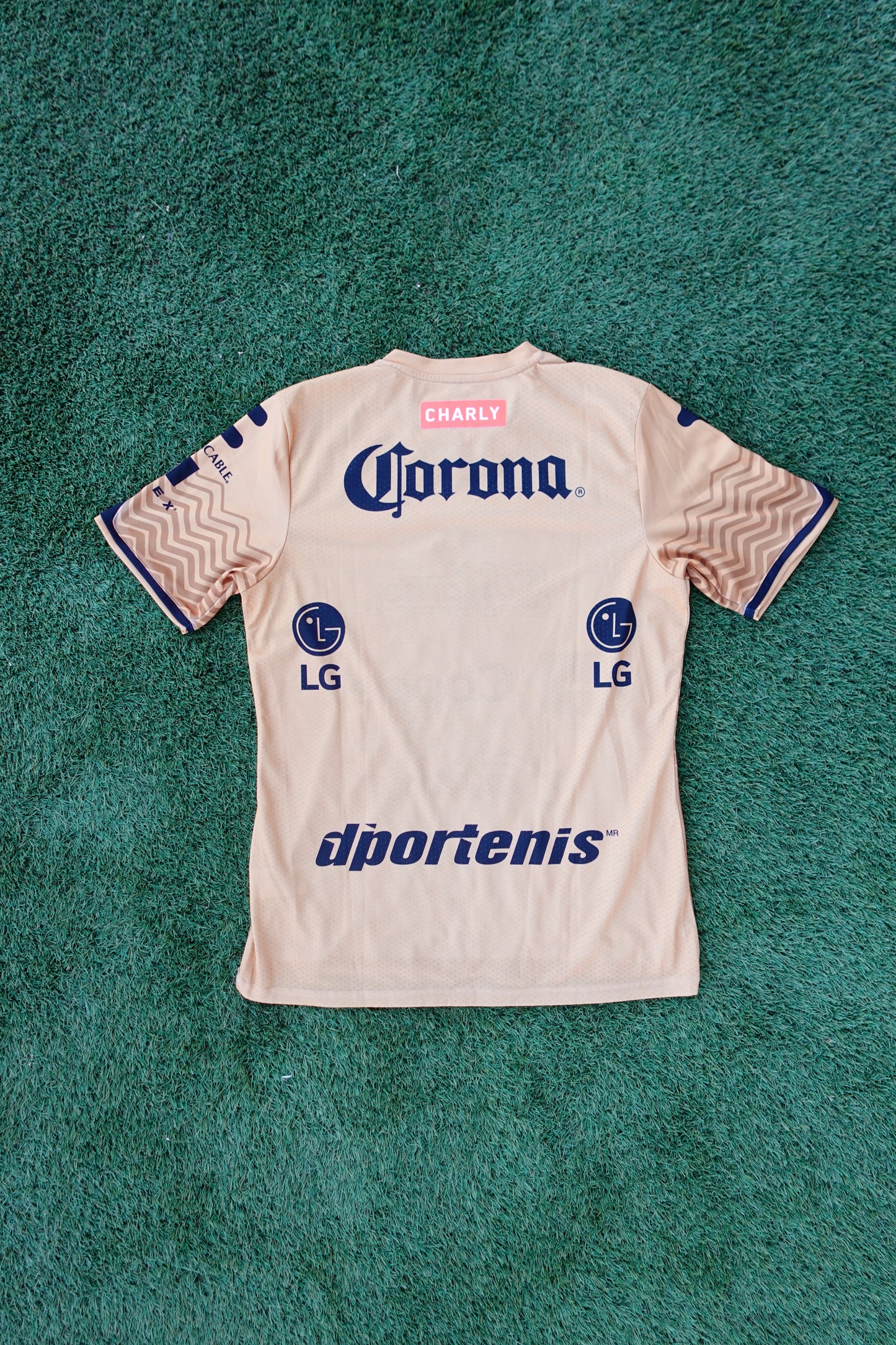 Dorados 2016-2017 Local